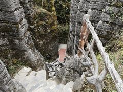 -梭布垭石林景区