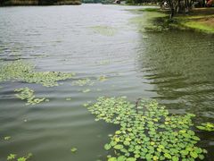 -长广溪湿地公园