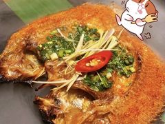 -雀舞云南菜(天津天河城购物中心店)