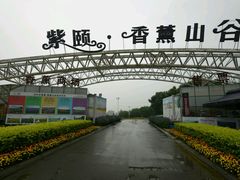 -紫颐香薰山谷景区