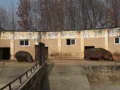 -合肥野生动物园