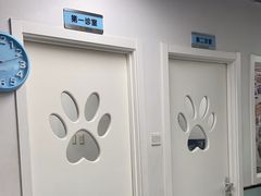 -达爱动物医院·犬猫分区·CT·复杂眼科(远洋山水分院)