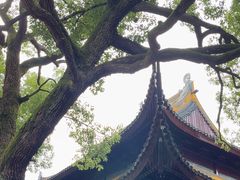 -西园戒幢律寺