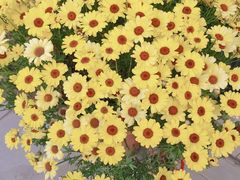 -享泰·泰式按摩SPA私家会所(大沥店)