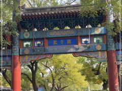-北京国子监胡同