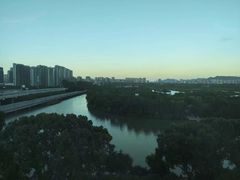 -三垟湿地