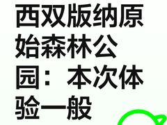 -西双版纳原始森林公园