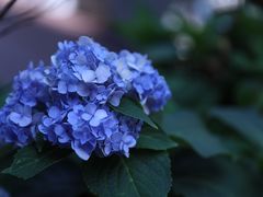 -那美(华莱坞店)