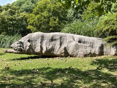 -上海吴淞炮台湾国家湿地公园