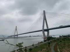 -芒洲湿地公园