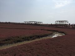 -红海滩国家风景廊道