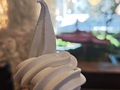 -单家老院·院子里的青岛菜(沙子口店)