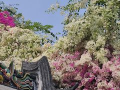 -深圳国际园林花卉博览园