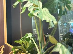 -SHAN山(前滩太古里店)