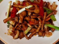 XO酱爆白玉菇虾仁-大树餐厅(红旗街万达店)