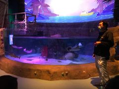 -沈阳海洋探索中心