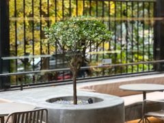 -大小咖啡 BigSmallCoffee(麦子店)