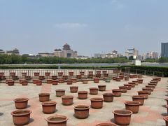 -莲花池公园