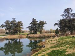 -两河城市森林公园