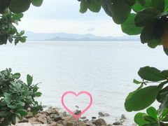 -深圳湾公园(南山区)