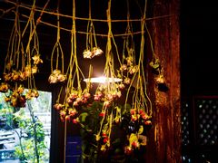 -蓝壁虎咖啡酒馆