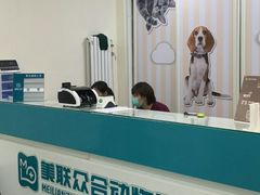 -美联众合爱康动物医院•复杂内科•肿瘤科•牙科•腔镜诊疗中心