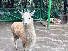 -杭州野生动物世界