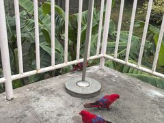 -宁波野生动物园