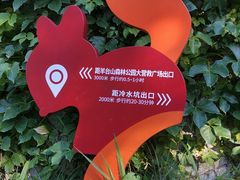 -阳台山森林公园