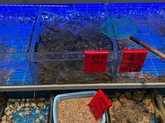 -金海湾海鲜排档(朱家尖店)