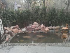 android_upload_pic-国御温泉度假小镇