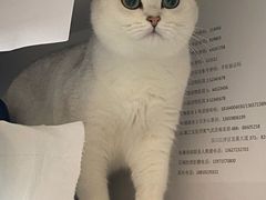 -科道动物医院·急重症中心(万达院)