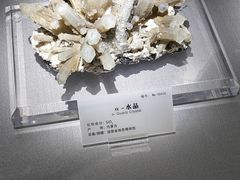 -湖南省地质博物馆