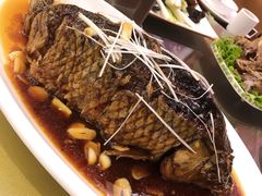 罾蹦鲤鱼-津菜宋记老房子(鼓楼店)