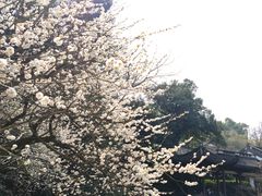 -杭州黄龙洞
