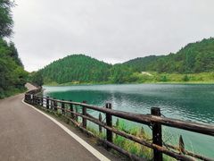-武陵山森林公园