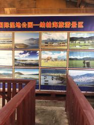 -纳帕海依拉草原