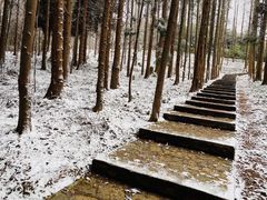 -山王坪喀斯特国家生态公园