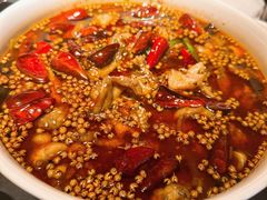 -鸽子侯·家宴·平价海鲜(市图书馆店)