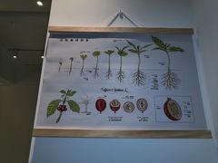 -香草山咖啡店·外教英语角·自习室(盛世商都店)