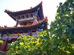 -大召无量寺