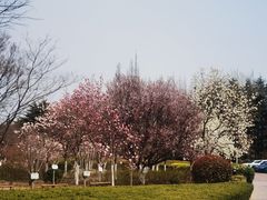-汇泉广场