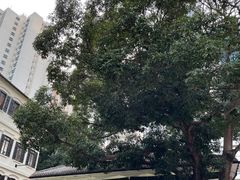 -大馆(前中区警署建築群)
