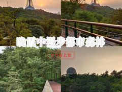 -青岛电视塔