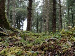 -硗碛藏寨·神木垒景区