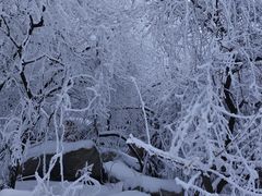 -秦岭终南山世界地质公园翠华山景区