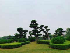 -南宁南湖公园
