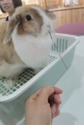 -Moni星球萌宠·小马宝莉·灵蛇·高端高阶全萌宠互动体验俱乐部(红豆国际广场店)