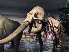 -湖南省地质博物馆