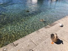 -Patagonia Chocolates(皇后镇店)